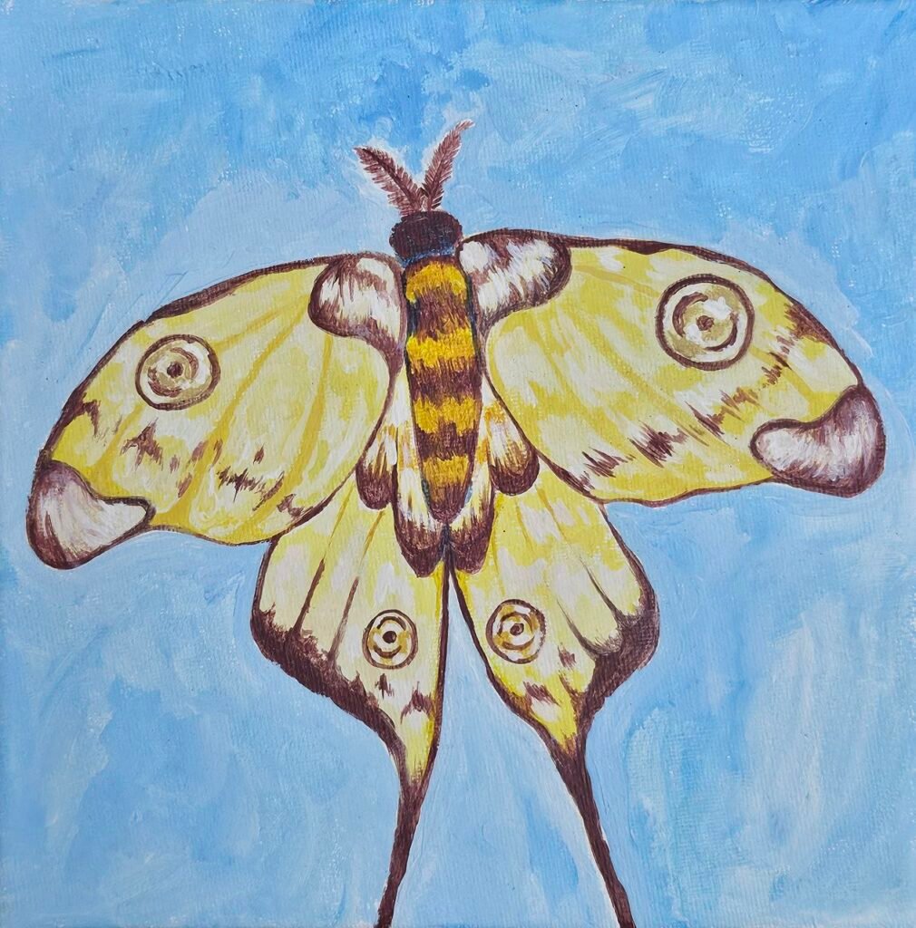 photo 2025 05 07 19 26 33